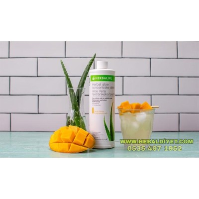 HERBALİFE AŞAĞI KİLO KONTROL ÜRÜNLERİ SETİB12