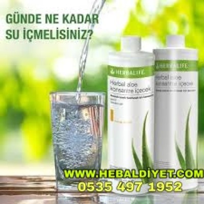 Herbalife Aloevera Mango Aromalı